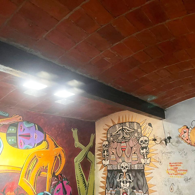 Colonial arched brick ceiling with 2 skylights and mural art in house for sale in historic city center el centro Oaxaca, Mexico real estate