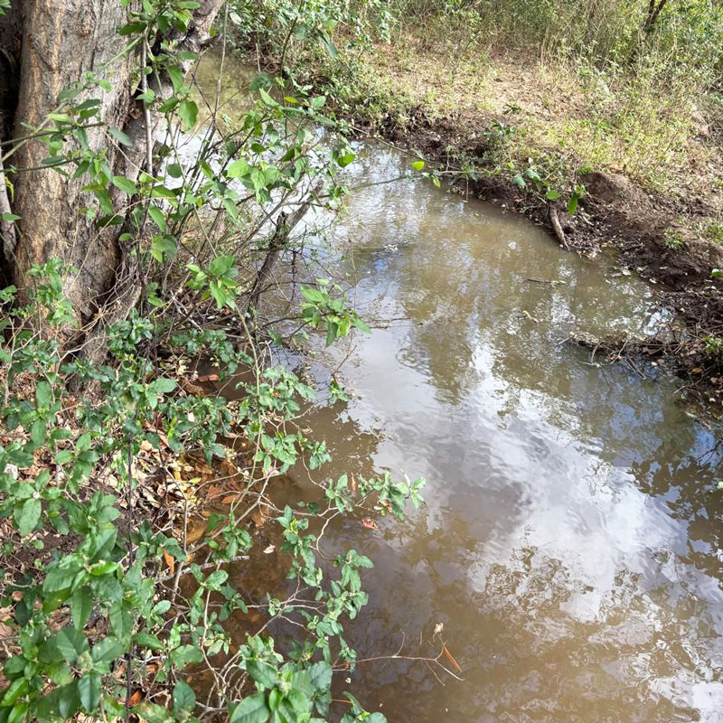 Stream on 22 hectare farmland for sale in Tehuantepec, Oaxaca Istmo