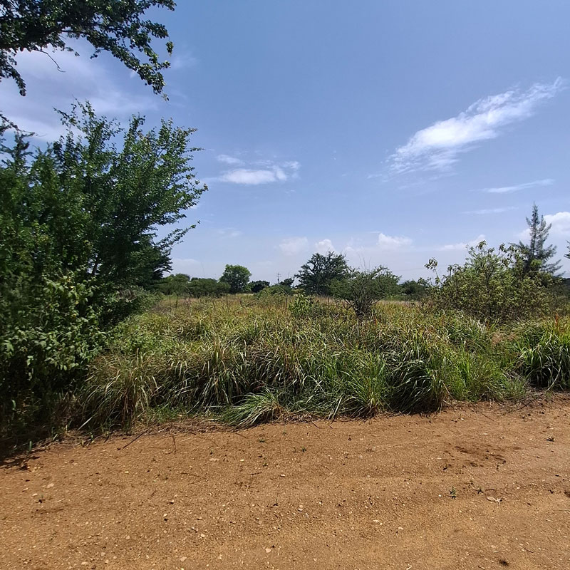 Zimatlan land lots for sale 200 m2 flat terreno with unpaved road