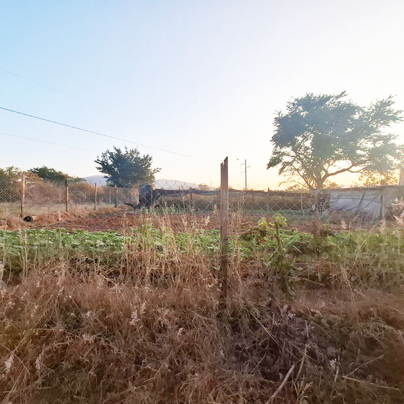 San Agustín Yatareni Oaxaca Mexico terreno en venta land for sale 360 m2 flat lot fertile soil with vegetble garden, cyclone fence, electricity, sewage and fiber optic internet on unpaved road